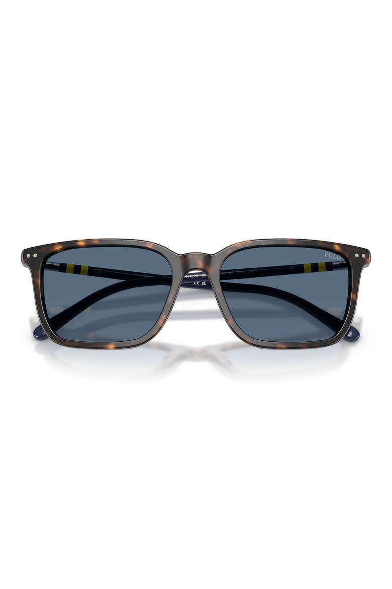 PH4226 56mm Pillow Sunglasses, Alternate, color, SHINY HAVANA / DARK BLUE