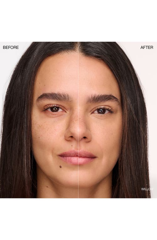 Ogee Complexion Perfecting Concealer In Green
