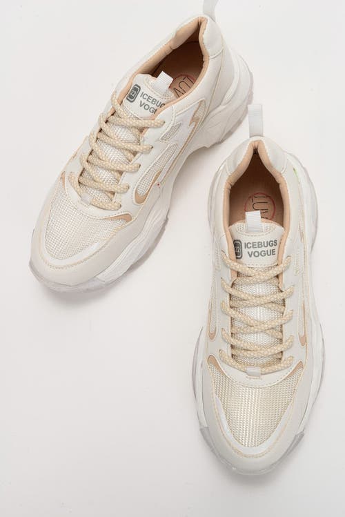 Prologue Shoes Europa Sneakers In White