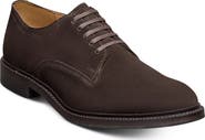 Allen Edmonds Trevor Derby