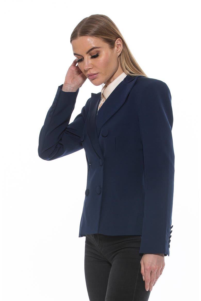 Lianne Classic Double Breasted Button Front Closure, Alternate, color, NAVY