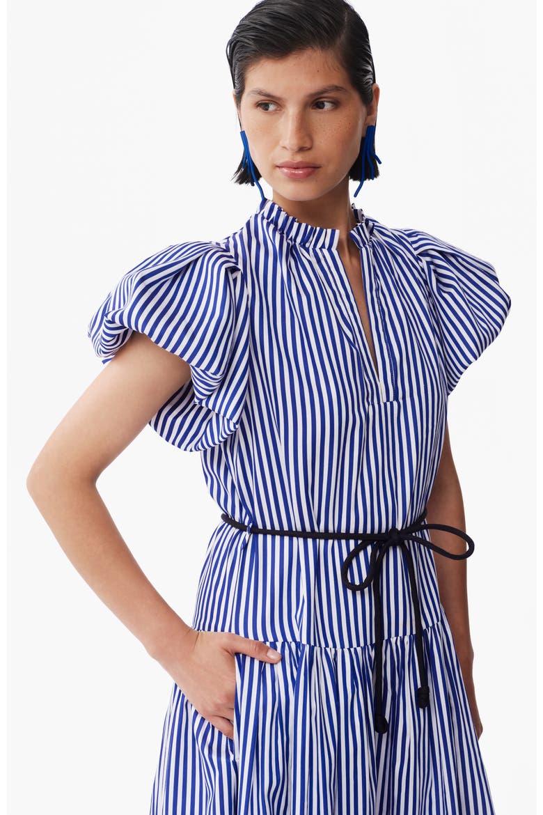 Gabo Puff Sleeve Cotton Midi Dress, Alternate, color, Lineas Azules Print