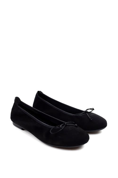 Menina Step Sofia Elastic Suede Ballet Flat In Black