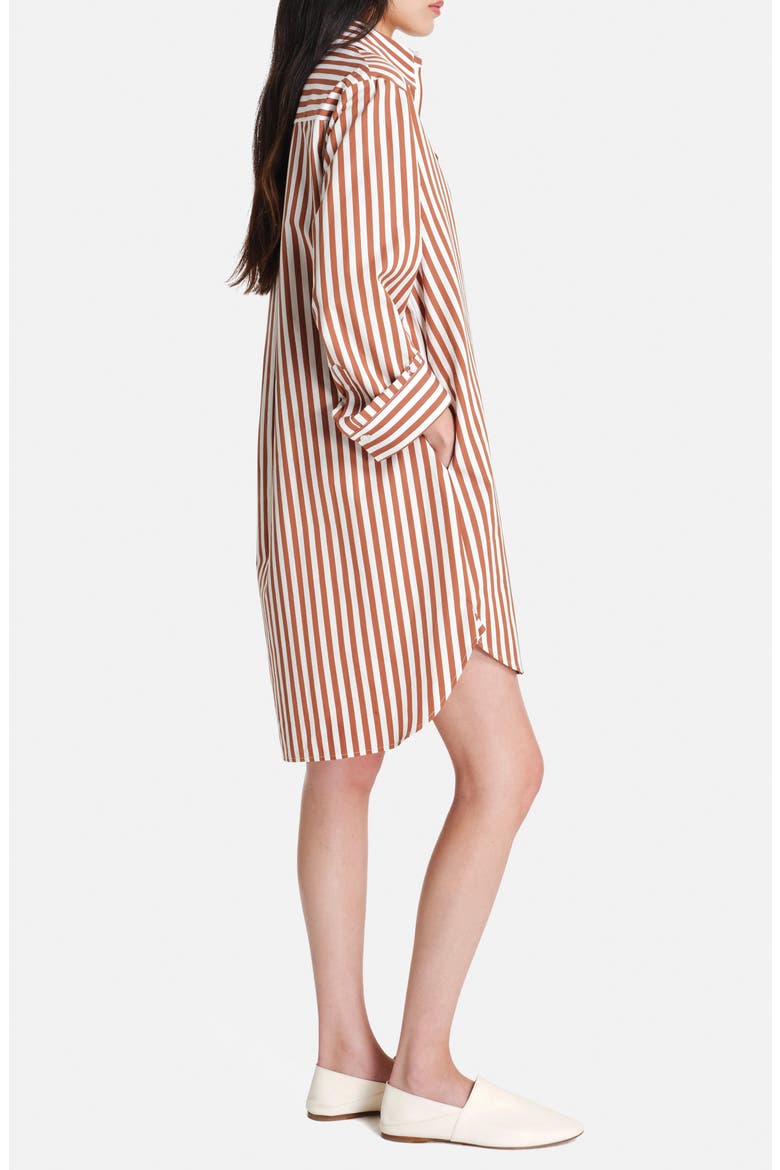 Morning After Oversize Stripe Long Sleeve Cotton Shirtdress, Alternate, color, IVORY/ COGNAC