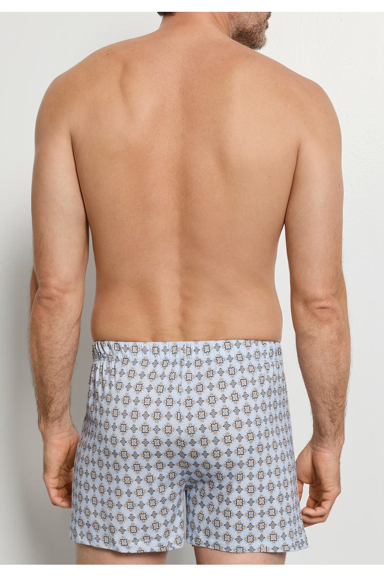 Fancy Jersey Cotton and TENCEL Boxers, Alternate, color, Pumpkin Ornaments