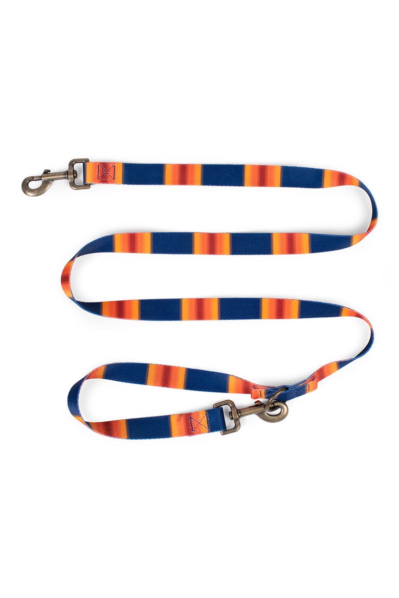 National Park Adventure Leash, Alternate, color, GRAND CANYON