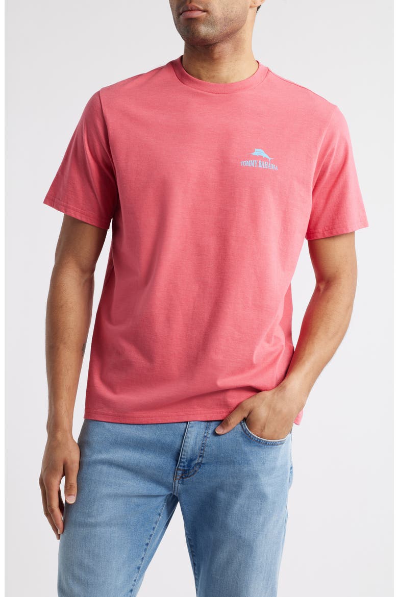 Can You Sear Me Now Cotton Graphic T-Shirt, Main, color, CLARETE HEATHER