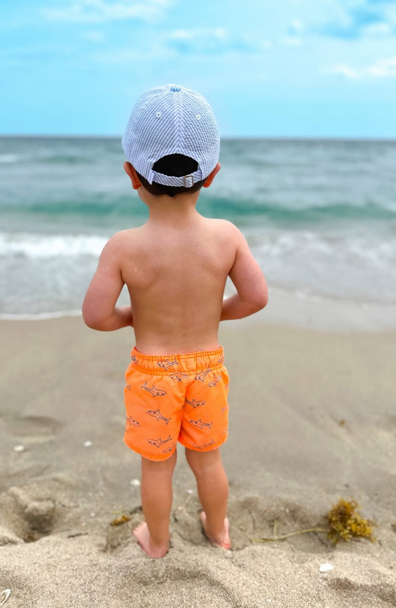 Bits & Bows Sailboat Blue Seersucker Baseball Hat, Alternate, color, Blue