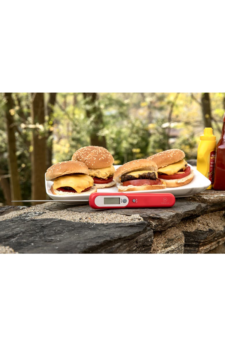 Henning Lee Battery Free Kinetic Instant Read Thermometer for Kitchen and Grill, Alternate, color, Gray