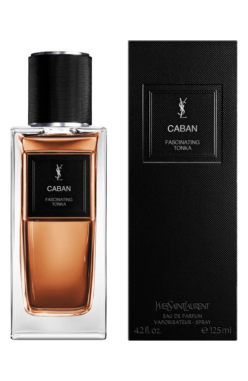 Saint Laurent Yves Caban In Transparent