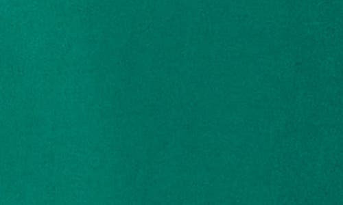 Dr2 By Daniel Rainn Tie Front Shorts In Green