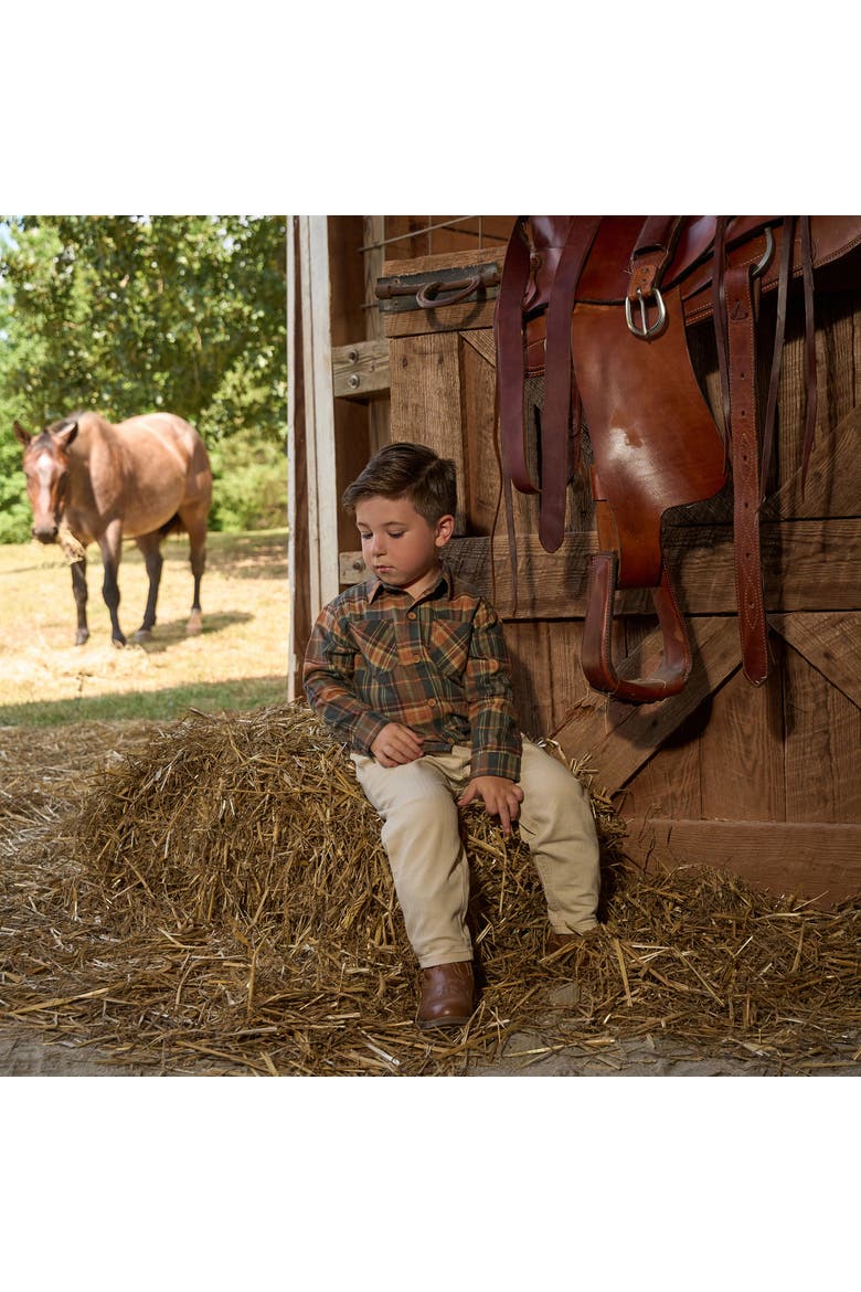 Button Down Plaid Shirt and Pant Set, Alternate, color, Brown Plaid