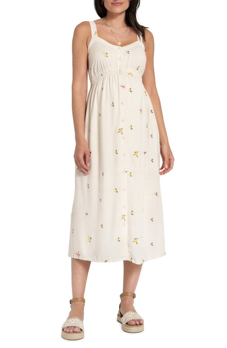 Seraphine Embroidered Button-Down Maternity/Nursing Sundress, Main, color, 