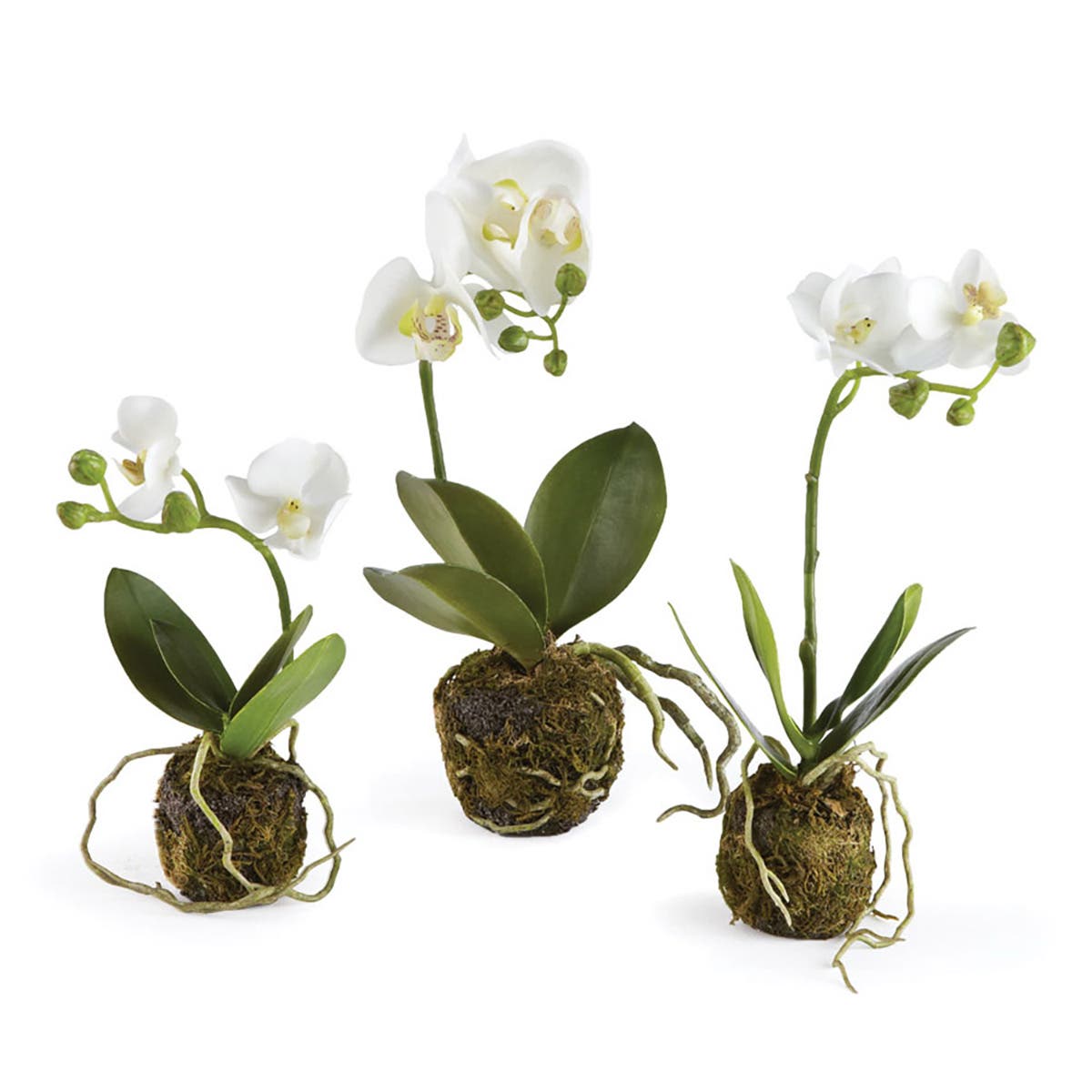 selected White