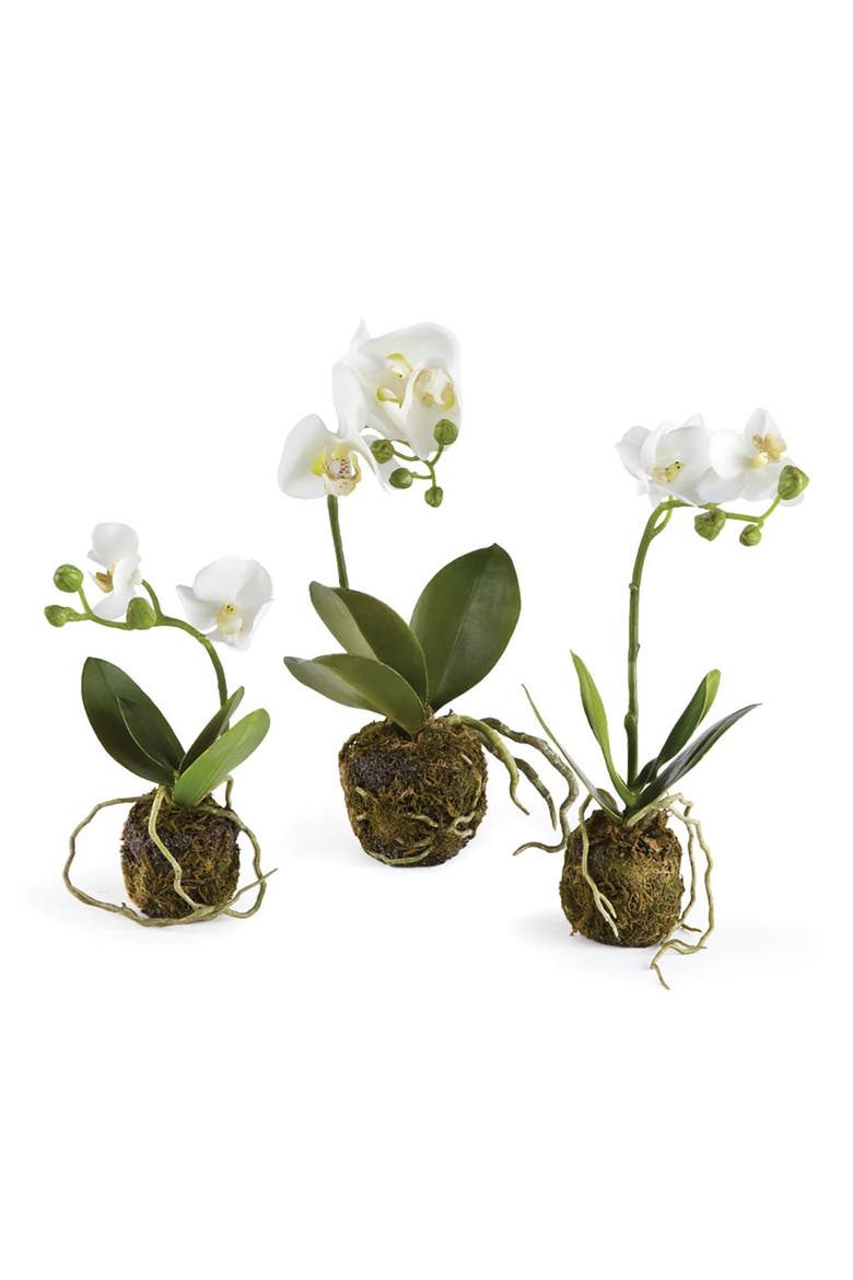 Phalaenopsis Orchid Artificial Drop-Ins Set of 3, Main, color, White