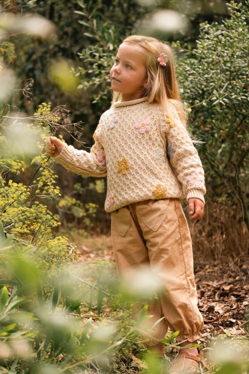 Wild Wawa Jardin Sweater In Neutral