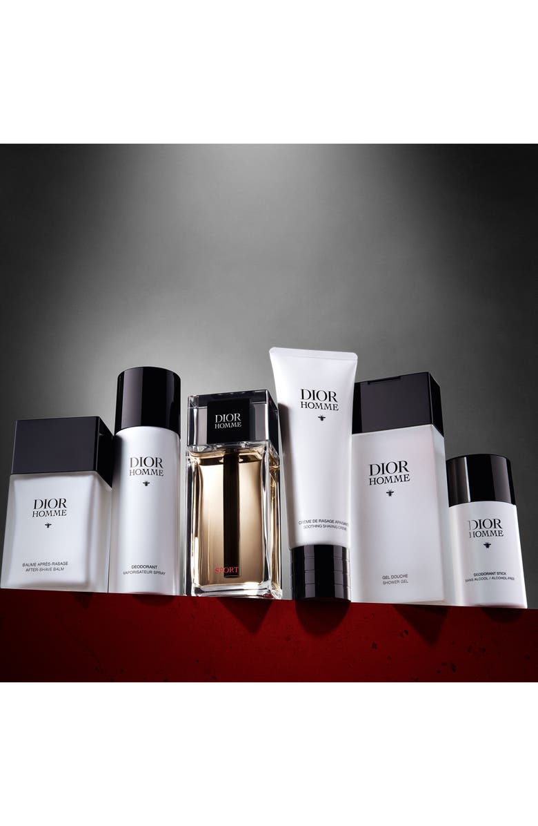 DIOR Homme Deodorant Stick, Alternate, color,