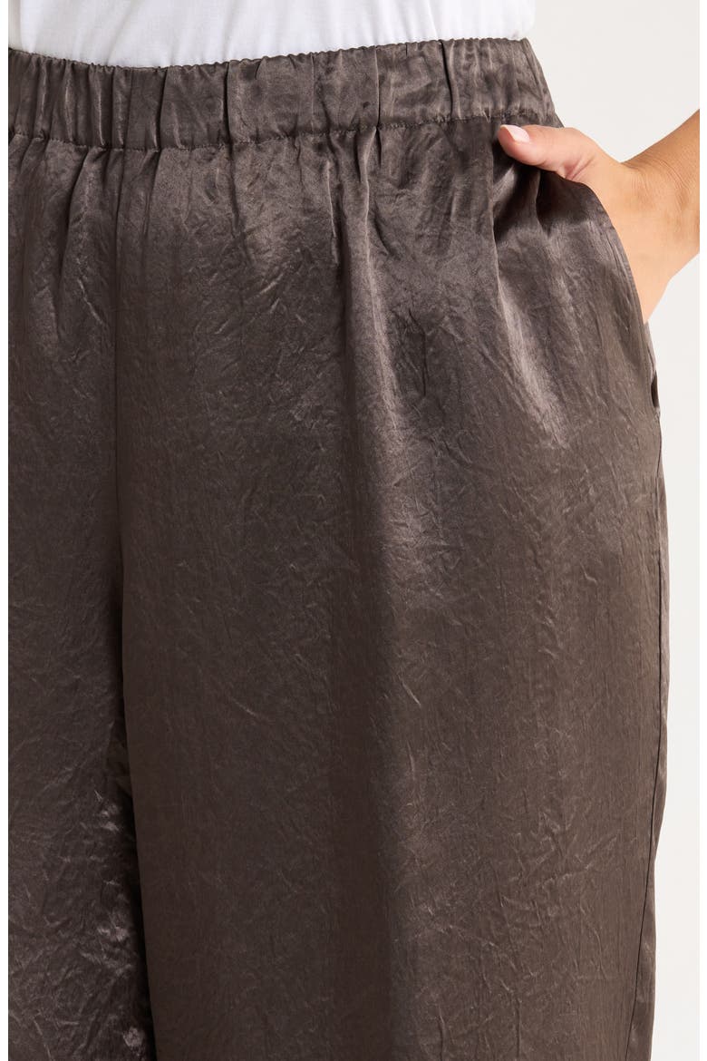 Crinkle Satin Wide Leg Ankle Pants, Alternate, color, RYE