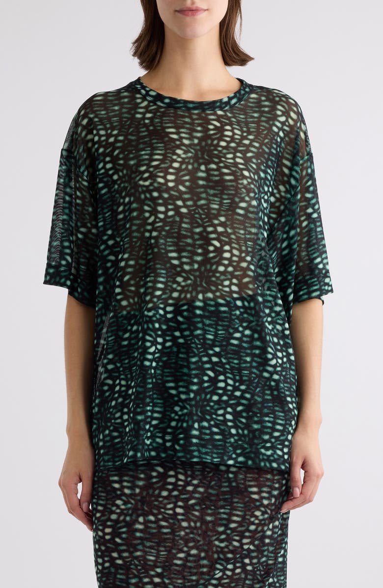 Dries Van Noten Hoge Print Mesh T-Shirt, Main, color, 