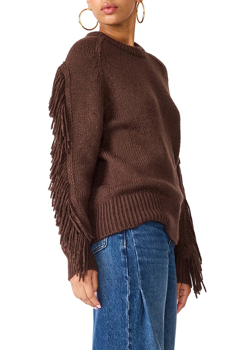 Ashlynne Fringe Sleeve Sweater, Alternate, color, DARK TOFFEE