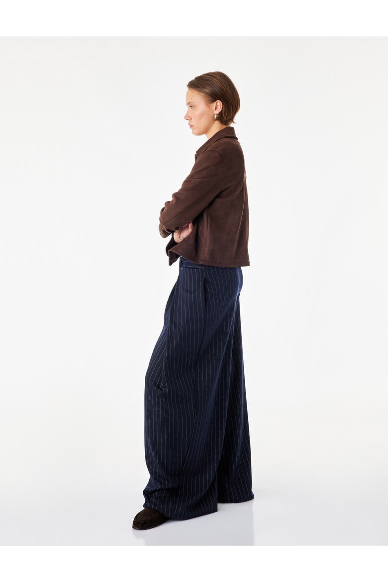 Striped Palazzo Pants, Alternate, color, NAVY STRIPE