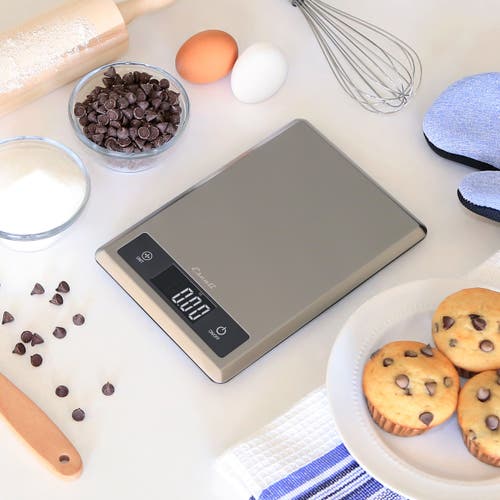Escali Tabla Stainless Steel Scale In Silver