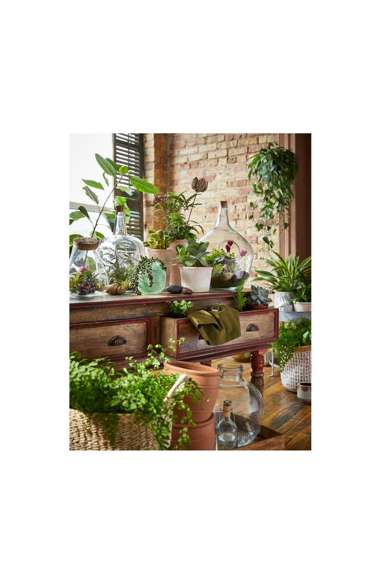 tag Large Recycled Glass Terrarium Decorative Garden Planter, Alternate, color, Clear
