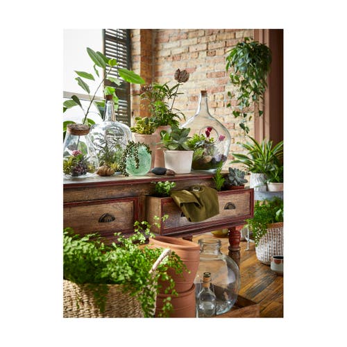 Tag Large Recycled Glass Terrarium Decorative Garden Planter In Green