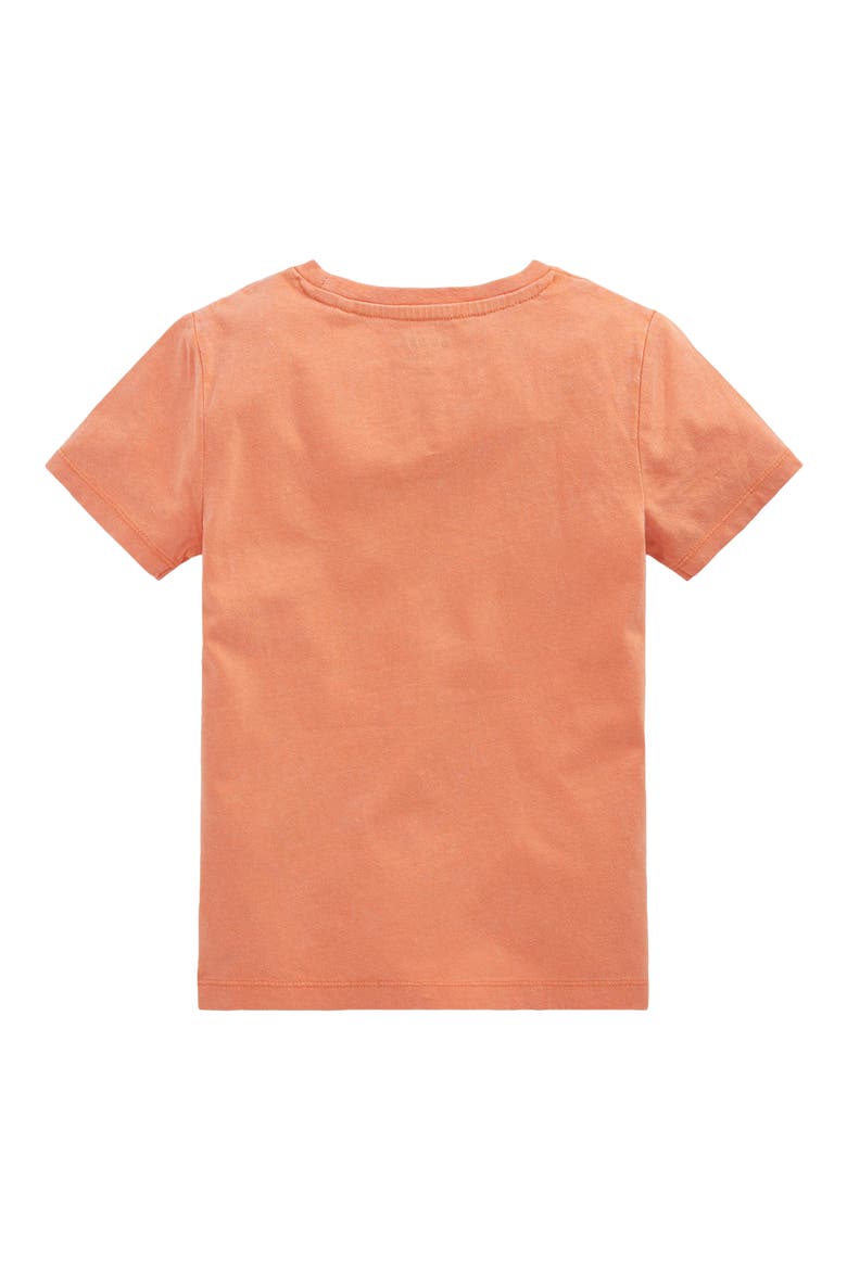 Kids' Educational Graphic T-Shirt, Alternate, color, ORANGE SHARKS
