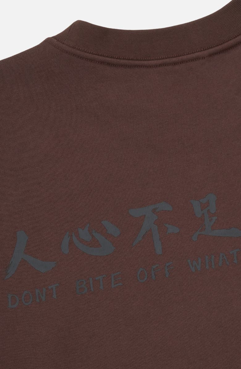 RtA Jaylen Cotton Graphic Sweatshirt, Alternate, color, Brown Snake Bite