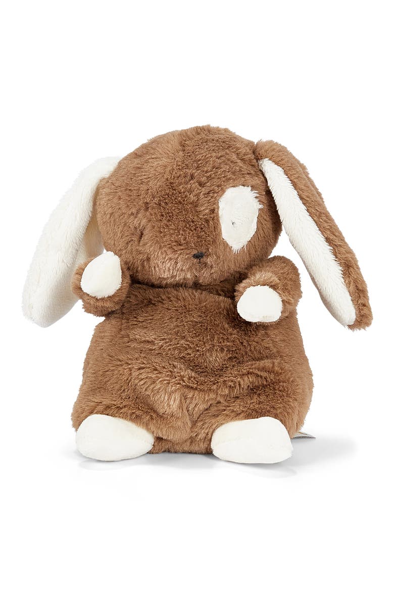 Baby Harriet's Board Book & Plush Bunny Gift Set, Alternate, color, BROWN