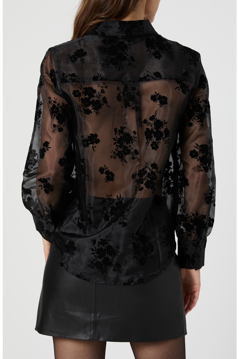 Velvet Burnout Organza Sheer Shirt, Alternate, color, BLACK