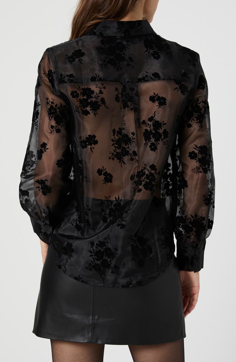 Velvet Burnout Organza Sheer Shirt