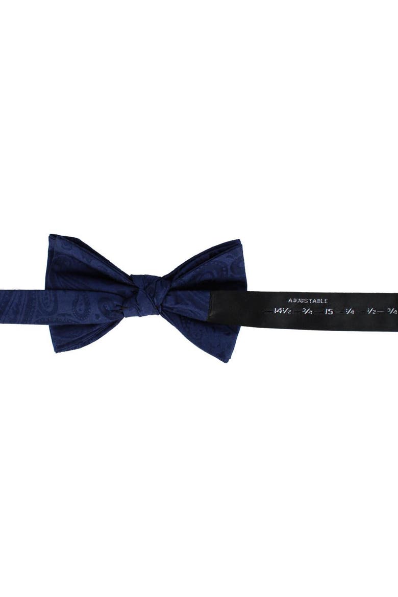 Banbury Tone on Tone Paisley Silk Bow Tie, Alternate, color, Navy Blue