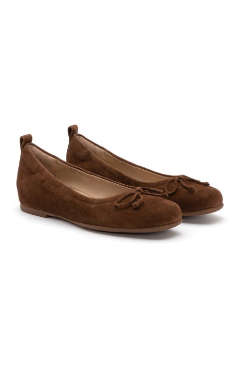 Abeo Cadence Bow Ballet Flat In Caramel Suede - Metatarsal