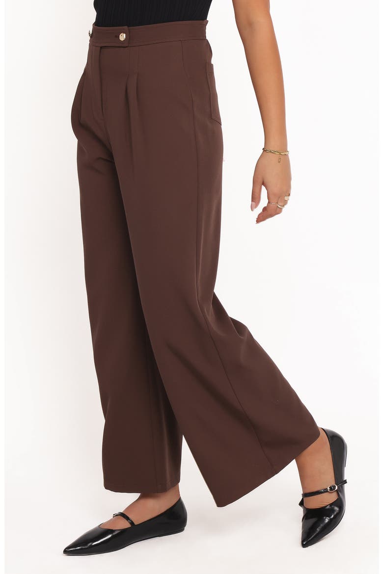 Corfu Pleat Front Wide Leg Pants, Alternate, color, BROWN