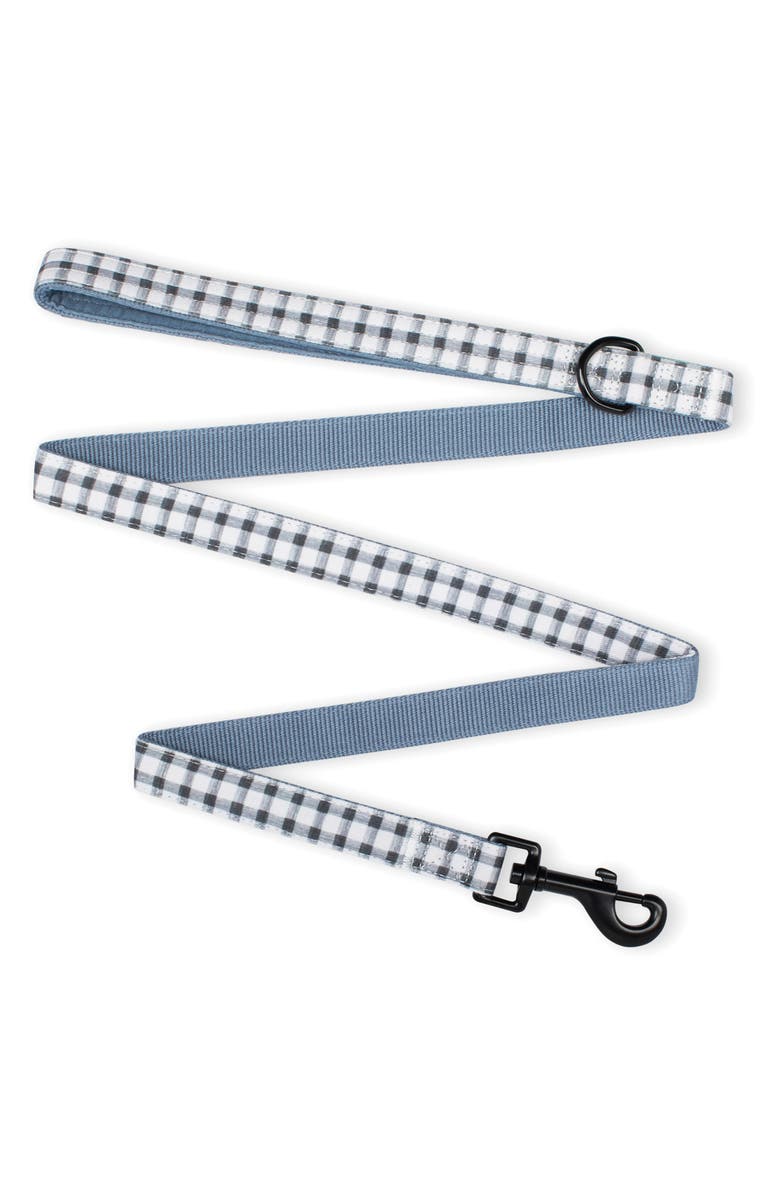 Fringe Studio Painted Gingham Dog Leash, Main, color,