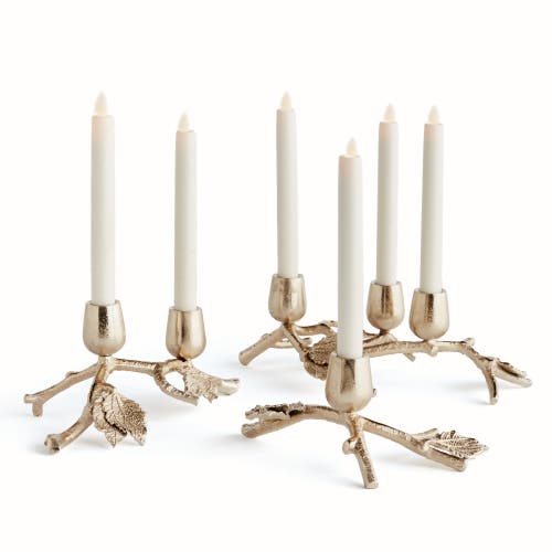 Napa Home & Garden Parna Taper Candle Holders Set Of 6 In Gold