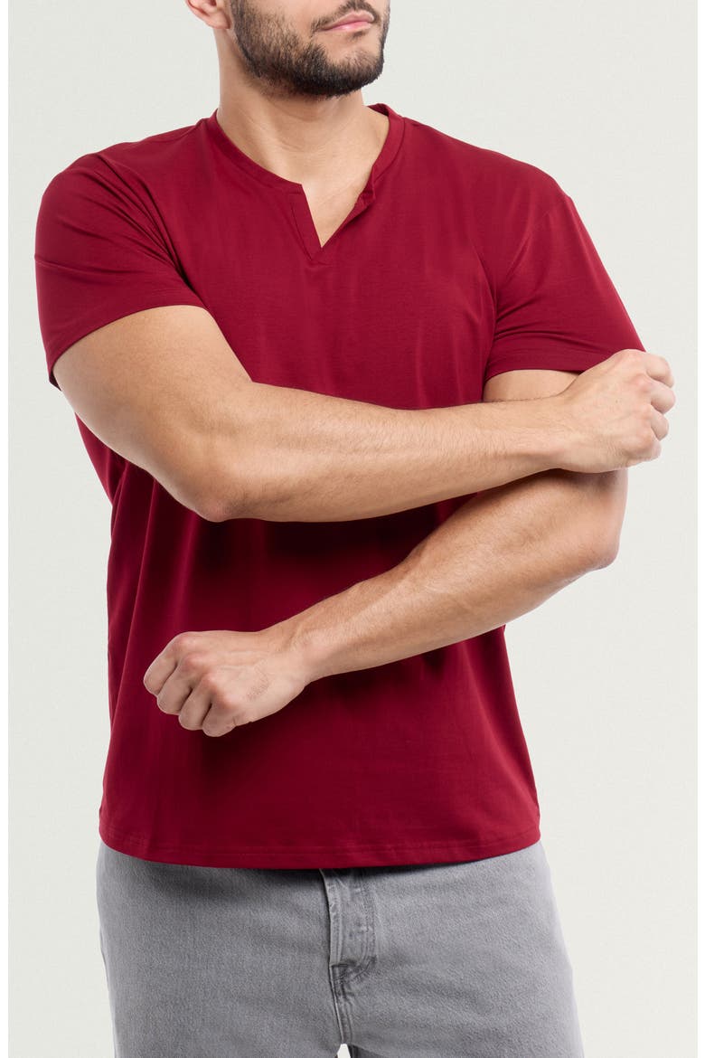 Split Neck T-Shirt, Alternate, color, BURGUNDY
