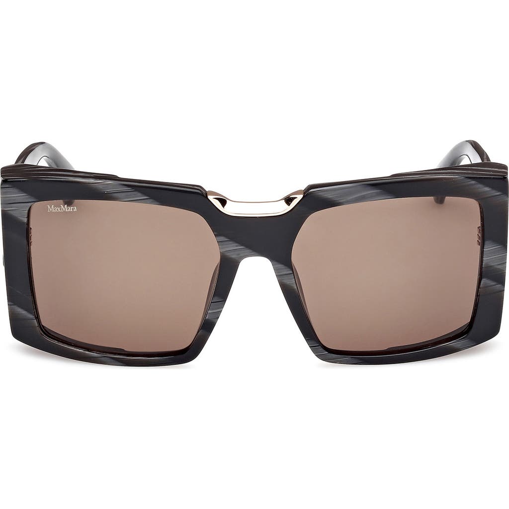 Max Mara Women's Black Horn & Roviex Spark 6 Square Sunglasses In Black Horn/pale Gold/olive