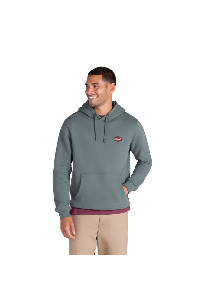 River Natural Hoodie, Alternate, color, Green