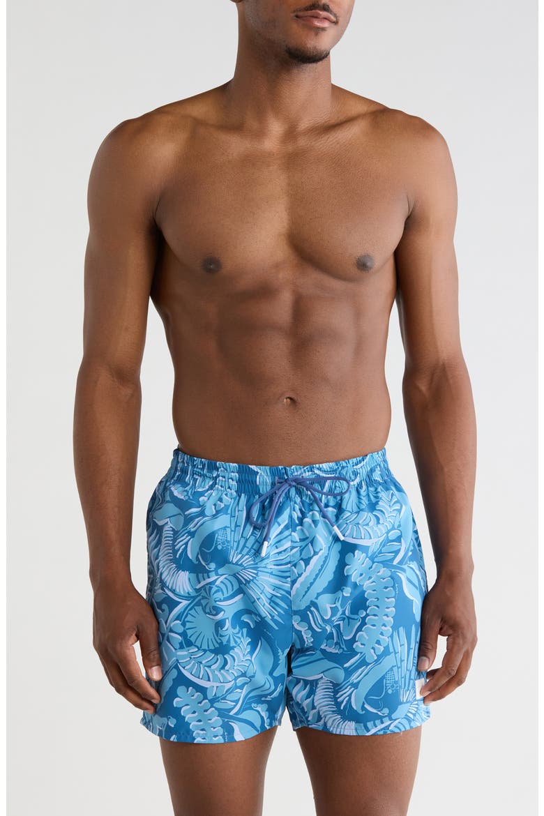 Piranha Swim Shorts, Main, color, BLUE