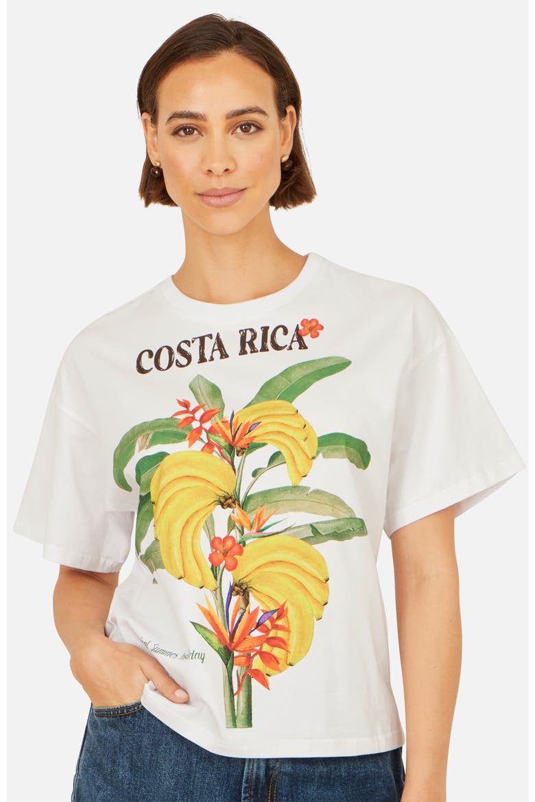 Costa Rica Cotton T Shirt, Main, color, White