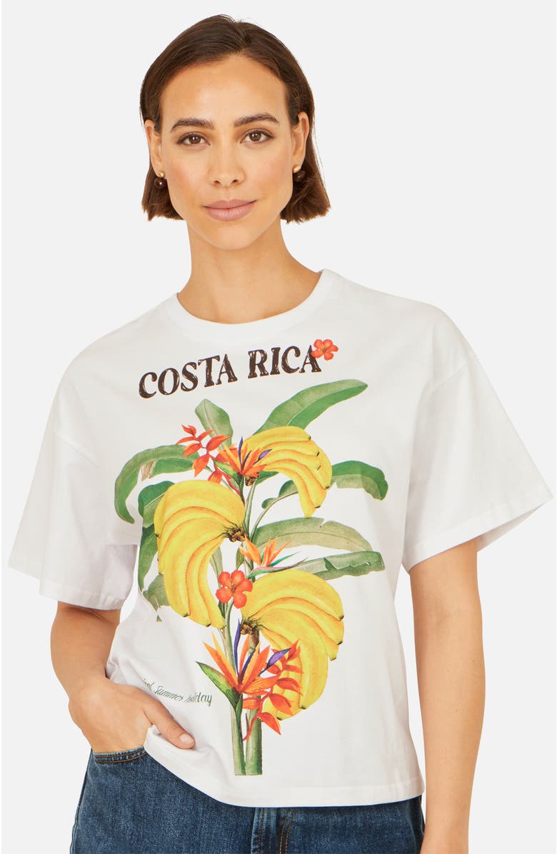 Yumi Costa Rica Cotton T Shirt, Main, color, White