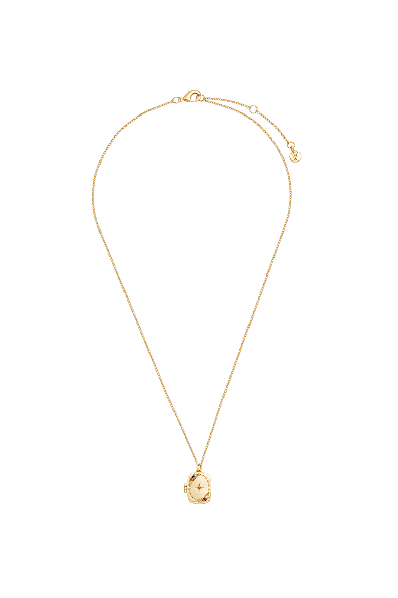 Orla Hedgerow Locket Necklace, Alternate, color, Gold
