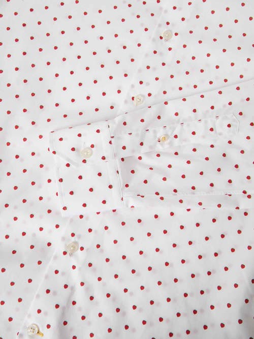 Robert Talbott Reynolds Strawberry Print Contemportary Fit Shirt In Strawberry