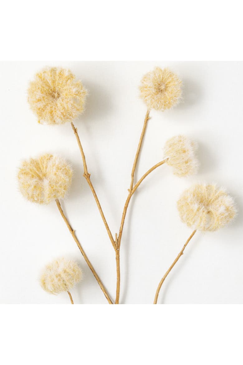Sullivan's Dried Spray, Cream Dried Floral Stem for Crafting, Weddings, Home and Holiday Decoration, 45 Inch, Main, color, Beige