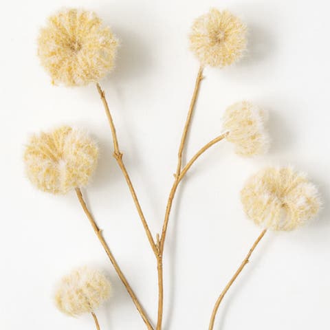 Sullivan's Dried Spray, Cream Dried Floral Stem for Crafting, Weddings, Home and Holiday Decoration, 45 Inch