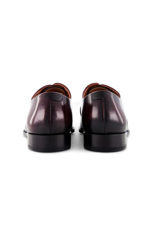 Anthony Veer Genoa Cap Toe Oxford In Brown