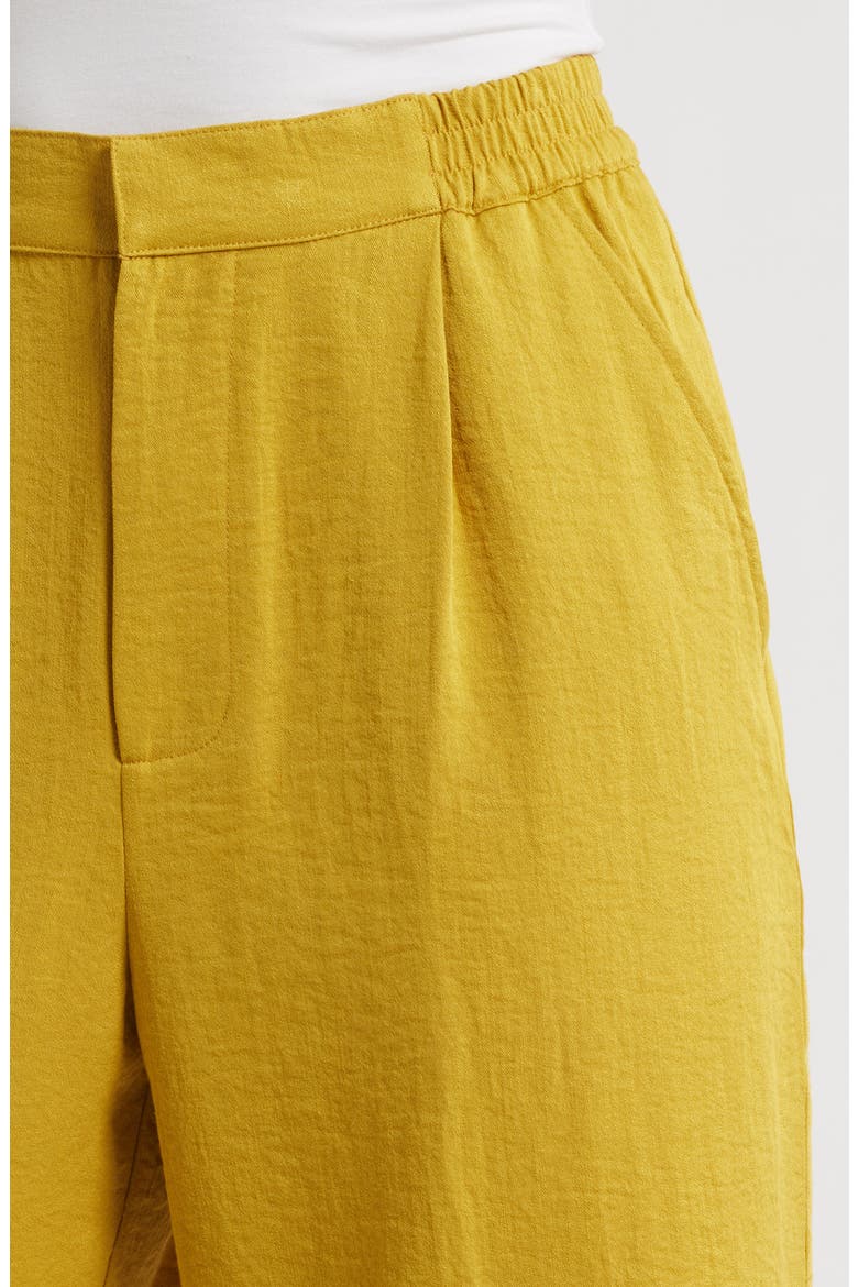 Pleated Wide Leg Pants, Alternate, color, DIJON